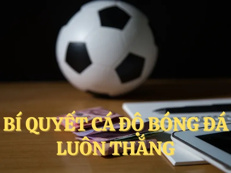Tìm Hiểu Cá Cược Bóng Đá U888 Chi Tiết Cách Chơi Và Cơ Hội Thắng Lớn