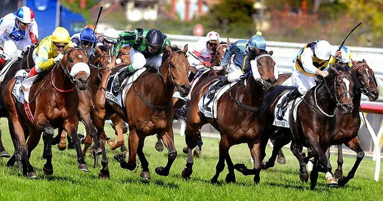 Cá Cược Đua Ngựa U888 Hướng Dẫn Đặt Kèo Và Cách Tăng Tỷ Lệ Thắng 2 Cá Cược Đua Ngựa U888 Hướng Dẫn Đặt Kèo Và Cách Tăng Tỷ Lệ Thắng